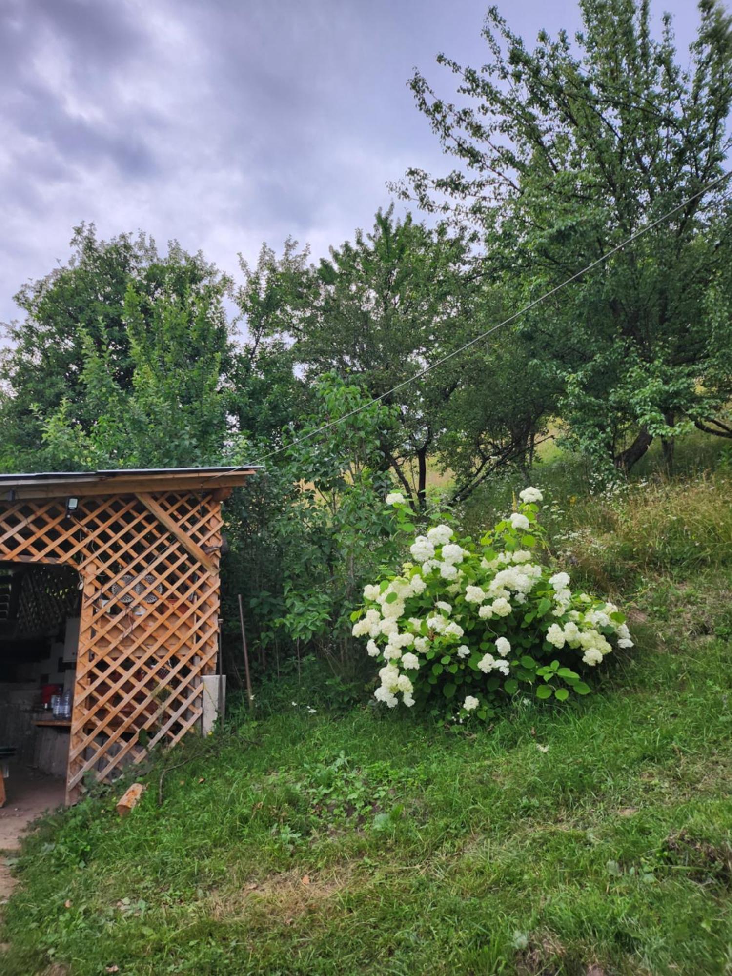 Casa Din Livada - Cazare Magherus Topliţa Buitenkant foto